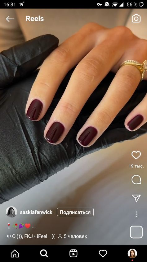 Early Fall Short Nails, Nail Color For Brunettes, Round Dark Nails, Neutral Dark Nails, Early Fall Pedicure Colors, Short Oval Nails Fall Colors, Short Nail Colours, November Short Nails, Short Dark Nails