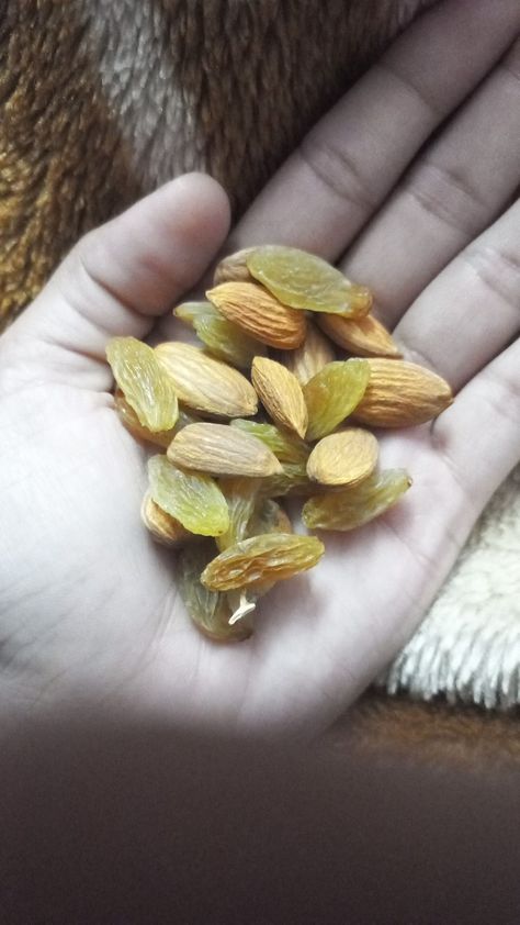 #dry fruits #almonds #badam #kishmish #snapideas #snapchat #breakfast Dry Fruits Snap, Snapchat Breakfast, Ariel Winter, Healthy Lifestyle Food, Dry Fruits, Dried Fruit, Ariel, Healthy Lifestyle, Snapchat