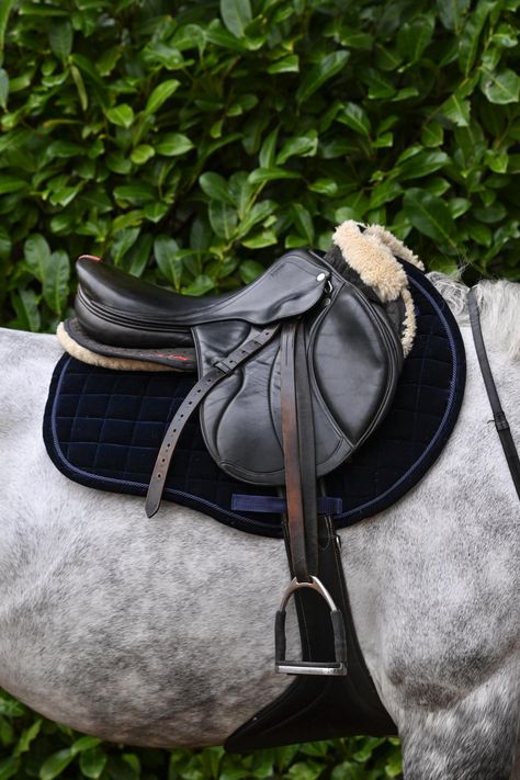 Dairy Boy, English Horse Tack, Equestrian Outfit, Equestrian Aesthetic, English Horse, Horse Boarding, Navy Blue Velvet, Horse Aesthetic, Saddle Pad