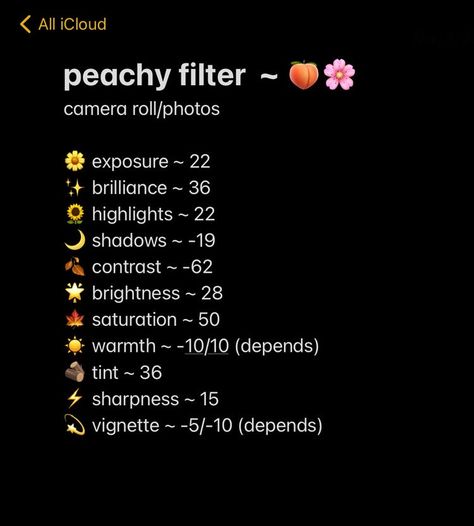 Aesthetic Filter Photos, Photo Edit Adjustments, How To Get Aesthetic Filters, Peach Filter Aesthetic, Cute Aesthetic Filters, I Phone Filter Code, Soft Pink Filter Camera Roll, Cool Tone Filter Iphone, Cute Photo Filters Iphone