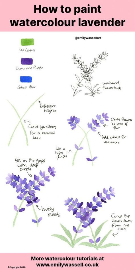 Paint Lavender Flowers, Paint Lavender, Hur Man Ritar Blommor, Flowers Step By Step, Watercolour Tutorial, Flower Drawing Tutorials, Watercolor Flowers Tutorial, Watercolor Beginner, Learn Watercolor