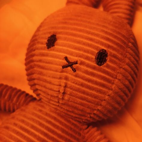 orange theme • rabbit toy • stuffed toy • teddybear • bunny • random Orange Plushie, Randomly Aesthetic, Orange Teddy Bear, Summer Widgets, Orange Pictures, Orange Rabbit, Orange Bunny, Orange Theme, Bunny Doll