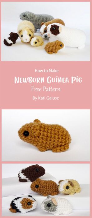 Easy Amigurumi Pencil Free Crochet Pattern Ideas - Carolinamontoni.com Ferret Crochet Pattern Free, Amigurumi Stingray, Pencil Crochet Pattern, Amigurumi Bat, Stingray Fish, Pig Crochet, Easy Beginner Crochet Patterns, Crocheted Animals, Easy Amigurumi