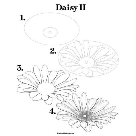 How To Draw Daisies, How To Draw Flowers Step By Step, Daisy Flower Drawing, Trin For Trin Tegning, Daisy Drawing, Round Flowers, Easy Flower Drawings, Wednesday Friends, Cocoa Tea