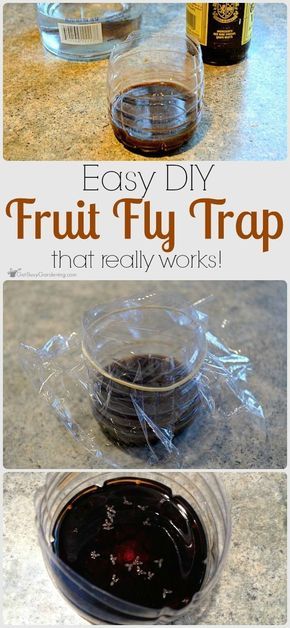 Diy White Vinegar, Flies Trap Diy, Vegetable Garden Planting Guide, Fruit Fly Catcher, Homemade Fruit Fly Trap, Fruit Fly Killer, Fruit Flies In House, Fruit Fly Trap Diy, Gnat Traps