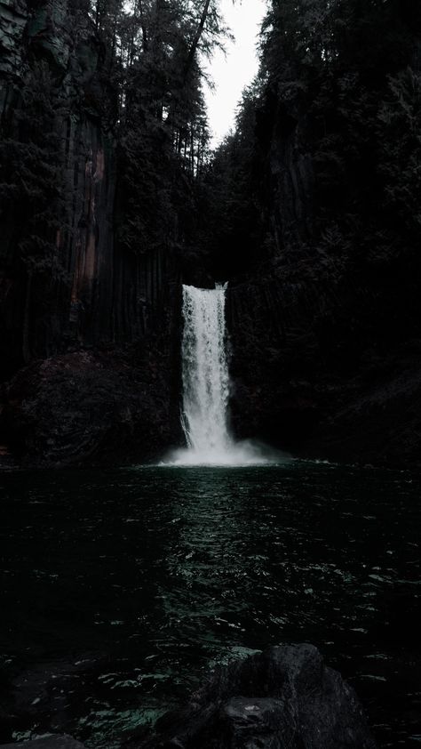 Trees, Forest, Water