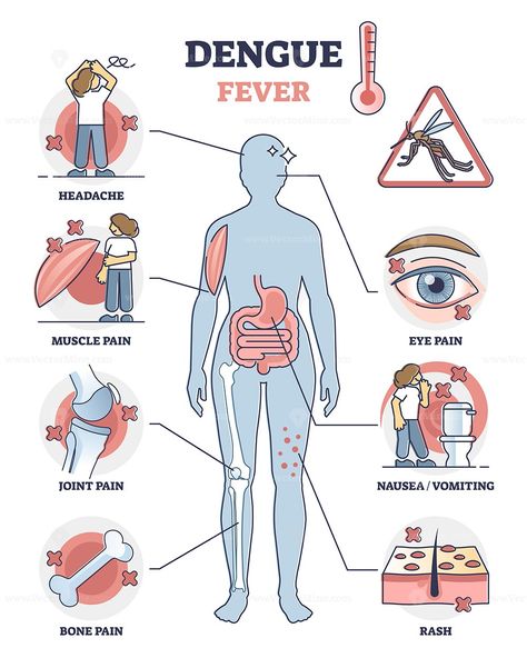 Malaria Infographic, Disease Drawing, Fever Symptoms, Virtual Care, Awareness Poster, Doctor's Office, Online Doctor, Home Doctor, Doctor On Call