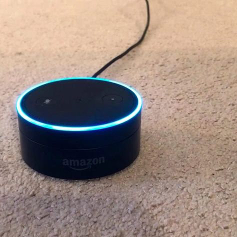 Things Not To Ask Alexa, Things To Never Ask Alexa, Say This To Alexa, Things To Say To Alexa, Things To Ask Alexa, Alexa Hacks, Alexa Tricks, Alexa Commands, Ask Alexa