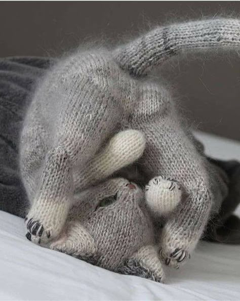 Knitting Animals, Animal Knitting, Pet Sweaters, Little Cotton Rabbits, Animal Knitting Patterns, Knitted Cat, Knitting Patterns Toys, Kitten Love, Knitted Animals