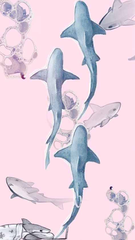 #collageart #art #aesthetics #aesthetic #wallpaper#colors #pink #aquatics #oceanography #sharks #idonotowntheseimages Shark Wallpaper, Pink Shark, Art Aesthetics, Shark Art, A N Wallpaper, Cute Shark, Blue Shark, Oceanography, Cute Wallpaper Backgrounds