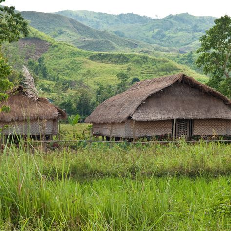 Living in a simple village has been their life and worked to have the resources they could get to live. #FilledWithHope #Philippines #YoungGirls #Women #WomenEmpowerment Rural Philippines, House On The Rock, Dungeons And Dragons, Philippines, House Styles, Flowers, Quick Saves