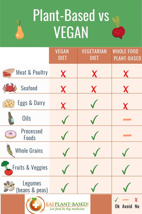 Very often the terms plant-based and vegan are used interchangeably however, though both groups abstain from eating animal products, there are some pretty big differences. Let’s break down the distinctions of each one. Plant Based Vs Vegan, Plant Based Nutrition Guide, Difference Between Vegan And Vegetarian, Benefits Of Going Vegan, Switching To Plant Based Diet, Wfpb Diet, Why Go Vegan Facts, Plant Based Snacks, Plant Based Diet Recipes