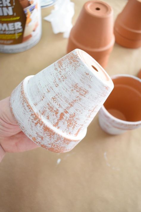 Spring is such a lovely time of year. Terracotta Pots Painted Diy Ideas, Paint Terracotta Pots Diy, Painted Terracotta Pots Ideas, Terracotta Pots Diy, Painted Terracotta Pots, Aged Terracotta, Aging Terra Cotta Pots, Diy Terra Cotta Pots, Small Terracotta Pots