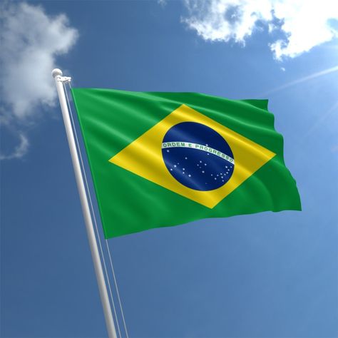 Feijoada Recipe, Flag Of Brazil, Black Bean Stew, Brazilian Flag, Slow Cooked Pork, Brazil Flag, National Dish, Bean Stew, Flag Country