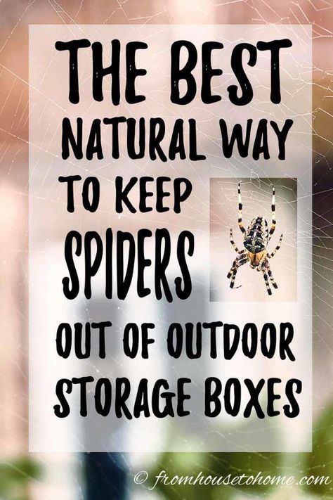 This natural way to keep spiders out of outdoor storage boxes really works! It's inexpensive, and doesn't contain pesticides or other harmful chemicals. #fromhousetohome  #gardenpests #patiosanddecks  #summer Deck Cleaner, Decks And Patios, Flea And Tick Spray, Small Patio Decor, Patio Storage, Outdoor Storage Boxes, Diy Deck, Patio Stones, Harmful Chemicals