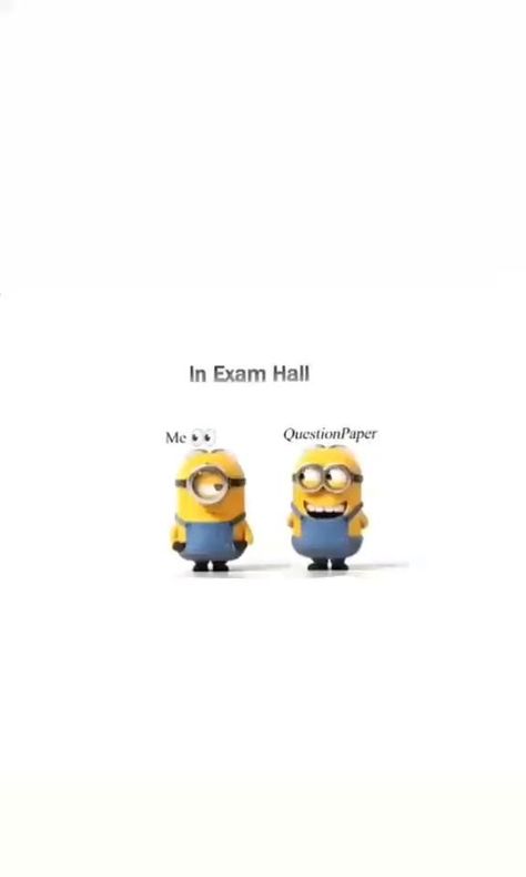 All The Best Quotes For Exams Funny, Exam Related Funny Quotes, Last Exam Quotes Funny, Exams Funny Quotes, Exam Memes Funny, Exam Funny Quotes, Funny Exam Quotes, Exams Quotes, Exam Hall