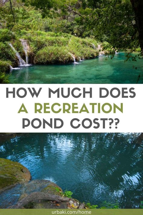 HOW MUCH DOES A RECREATION POND COST? Swim in a natural pool. A very frequent question is "How much does this cost?" Today we are looking at recreation ponds, swimming ponds, natural pools and talking about how much they cost. Plus, we'll take a look at what it's like to live in and care for one of these recreational ponds with Alan Decker of Decker's Pondscapes in Pattersonville, NY. This type of ponds attract the attention of anyone because they are of great beauty and totally... Diy Swim Pond, Recreational Pond Ideas, Swim Pond Diy Natural Pools, Natural Pools Backyard Swimming Ponds Water Garden, Pond Pools Backyard, Swimming Ponds Backyard, Diy Swimming Pond, Diy Pond Pool, Swimming Pond Ideas