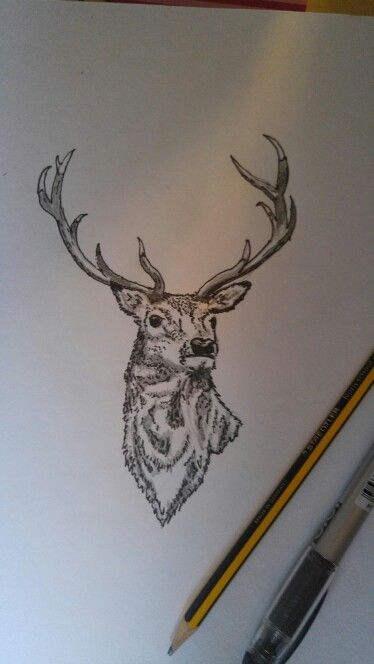 Stag tattoo Baby Tattoo For Dads, Stag Tattoo Design, Stag Tattoo, P Tattoo, Stag Design, Pirate Tattoo, Deer Tattoo, Celtic Knot Designs, Knee Tattoo