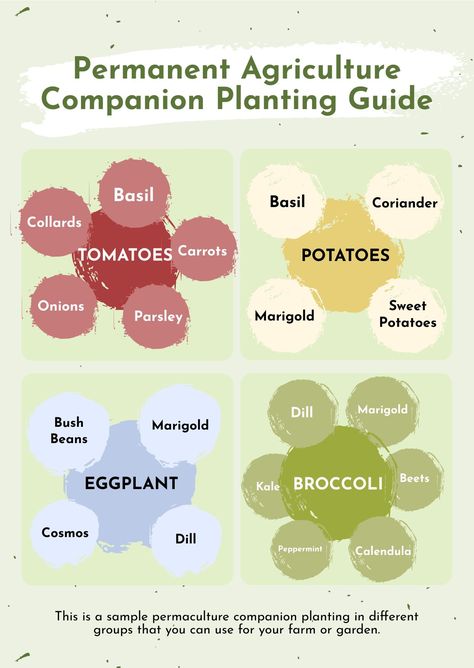 Free Permaculture Companion Planting Chart - Download in PDF, Illustrator | Template.net Onion Companion Planting, Seed Planting Guide, Herb Companion Planting, Potato Companion Plants, Planting Chart, Companion Planting Guide, Companion Planting Chart, Companion Planting Vegetables, Micro Garden