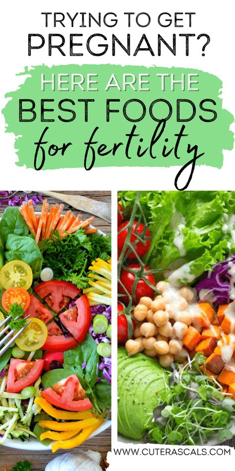 Fertility Foods Recipes, Fertility Recipes, Foods For Fertility, Ivf Diet, Fertility Food, Fertility Tea, Fertility Smoothie, Vegetarian Substitutes, Start Of Something New