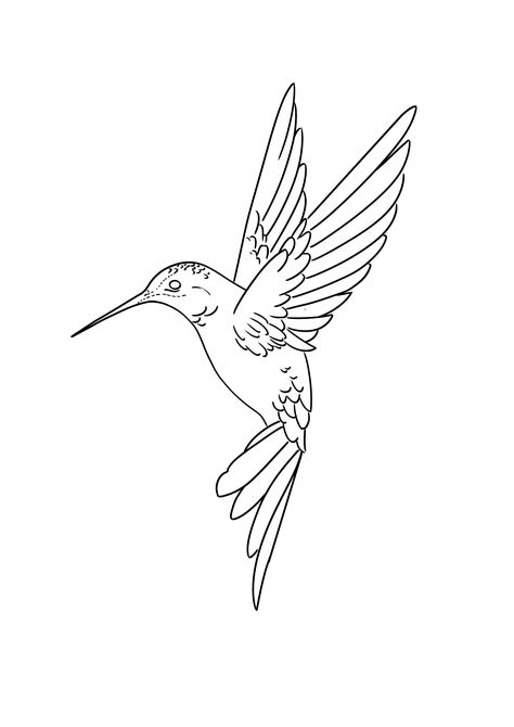 Hummingbird Line Art, Humming Bird Tattoo For Women, Hummingbird Outline Tattoo, Troy Tattoo, Hummingbird Outline, Hummingbird Sketch, Small Hummingbird Tattoo, Animal Stencils, Hummingbird Drawing