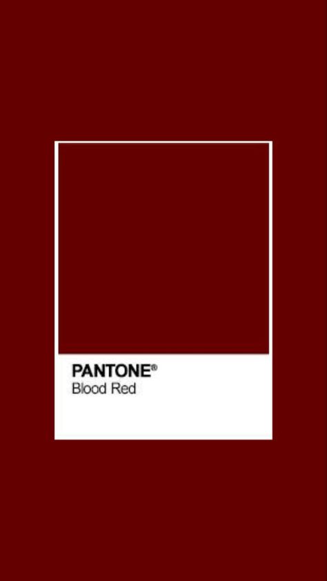 Pantone Red, Blood Red Color, Pantone Palette, Pantone Colour Palettes, Smash Or Pass, Red Colour Palette, Online Quiz, Generate Leads, Colour Board