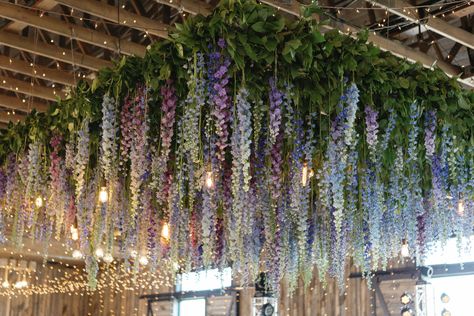 Hydrangea Ceiling, Wisteria Wedding Reception, Wisteria Ceiling Wedding, Hanging Fake Flowers From Ceiling, Purple Flowers Hanging From Ceiling, Lavender Ceiling, Wisteria Hanging From Ceiling, Wisteria Ceiling, Flowers Hanging From Ceiling