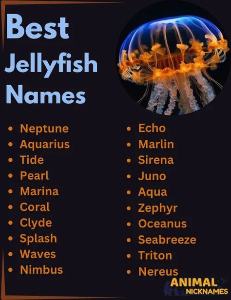 #BestJellyfishNames
#OceanInspo
#MarineLifeNames
#PerfectJellyfishNames
#CreativeOceanNames Facts About Jellyfish, Animal Nicknames, Jellyfish Facts, Spring Science, Fish Information, Greek Sea, Colorful Jellyfish, Marine Creatures, Sea Nature