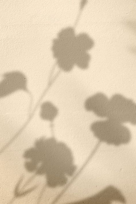 Flower Shadow Background, Shadow Esthetics, Beige Shadow Aesthetic, Shadow Background Aesthetic, Background Aesthetic Flowers, Saint Aesthetic, Shadows Aesthetic, Shadow Flower, Shadow Background