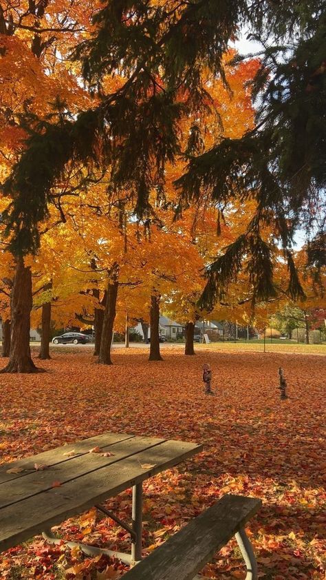 Calm Fall Aesthetic, Julia Vibes, Fall Aesthetic Pictures, Ready For Autumn, Fall Mood Board, Fall Mood, Autumn Magic, Aesthetic Autumn, Pumpkin Spice Season