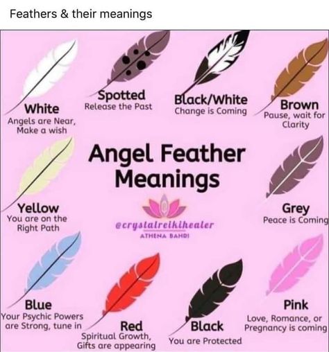 Feather Color Meaning, Finding Feathers, Feather Meaning, Spells For Beginners, Angel Feathers, Wiccan Magic, Witch Spirituality, Witchcraft Spell Books, Witch Spell Book