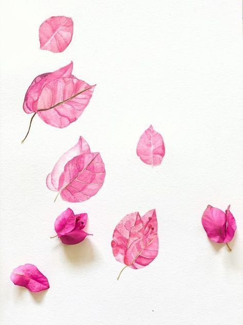 Buganvilla Painting, Buganvilla Watercolor, Bougainvillea Flower Tattoo, Watercolour Bougainvillea, Bouganvilla Aesthetic, Painted Bougainvillea, Bougainvillea Drawing, Bougainvillea Illustration, Bougainvillea Wallpaper