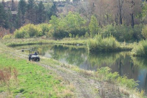 Digging A Pond, Dam Construction, Pond Construction, Farm Pond, Building A Pond, Pond Ideas, Pond Water Features, Pond Landscaping, Urban Homesteading