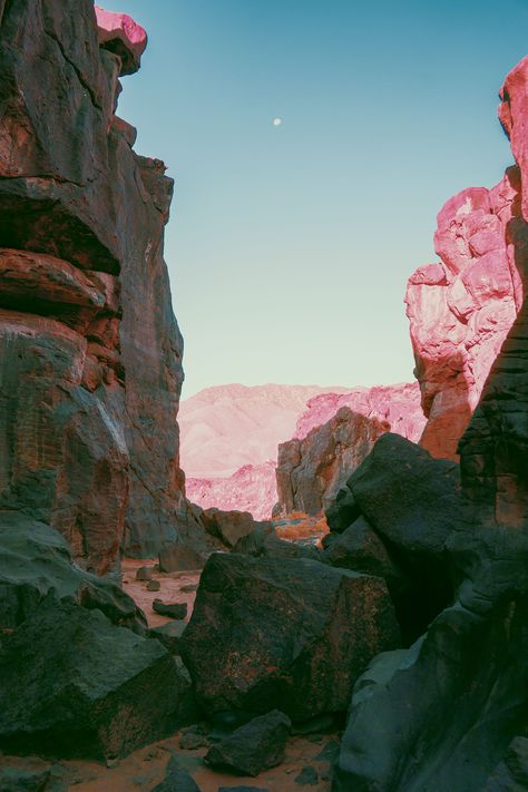 migration_neilkrug_bonobo_1 Neil Krug, Desert Aesthetic, Aesthetic Stuff, 영감을 주는 캐릭터, In The Desert, The Villain, Pretty Places, The Desert, Beautiful World