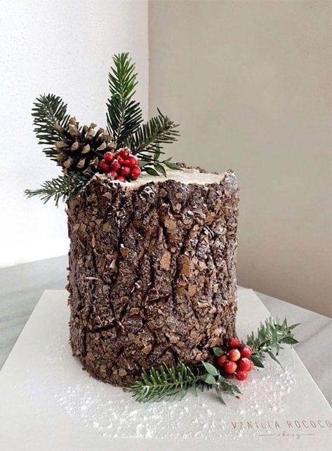 Winter Cake Ideas, Tree Stump Cake, Winter Torte, Fake Cakes, Christmas Themed Cake, Yule Log Cake, Cakes Design, Woodland Cake, Christmas Cake Designs