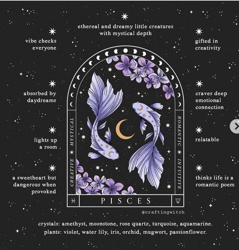 Pisces Personality Traits, Aquarius Personality Traits, Witchy Mama, Aquarius Personality, Pisces Personality, Aquarius Aesthetic, Pisces Fish, Astrology Aquarius, Aquarius Season