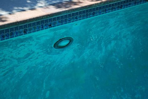 White Plaster Pool, Pool Plaster Colors, Water Cement Ratio, Pool Plaster, Plaster Material, Pools Backyard Inground, Exposed Aggregate, Pools Backyard, Water Effect