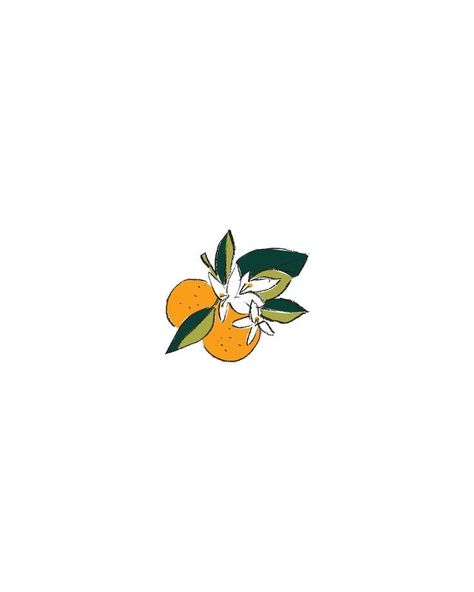 Clementine Sketch, Clementine Tattoo, Citrus Illustration, Orange Tattoo, Orange Illustration, Florida Tattoos, Boutique Branding, Blossom Tattoo, Have Inspiration