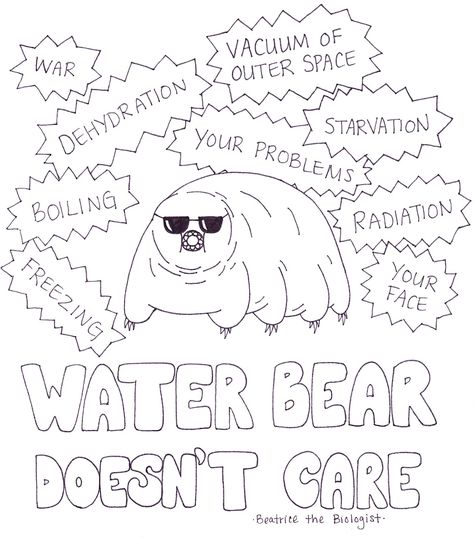 This needs to be on a T-Shirt! Beatrice the Biologist: Water Bear Doesnt Care Moss Piglet, Lab Humor, Science Comics, Science Jokes, Science Humor, Star Wars Fan Art, Nerd Alert, Geek Culture, Water Bear