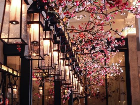 Mei Ume: The Gorgeous Sushi Restaurant In The City Japanese Garden Restaurant, Cherry Blossom Interior Design, Cherry Blossom Restaurant, Japanese Restaurant Aesthetic, Japan Restaurant Design, Sushi Cafe, Tree Installation, Japanese Coffee Shop, Zen Logo