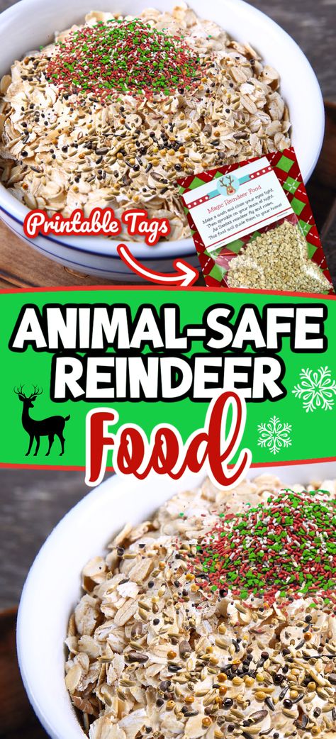 Make Your Own Reindeer Food, Reindeer Treats For Santa, Reindeer Food Recipe With Glitter, Reindeer Sandwich Kids, Homemade Reindeer Food, Reindeer Snacks For Kids School Parties, Reindeer Food Crafts For Kids, How To Make Reindeer Food For Kids, Magical Reindeer Food