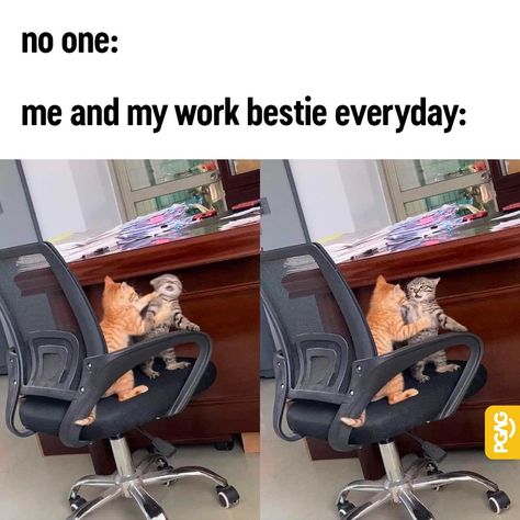 Work Bestie Meme, Med Quotes, Paw Ideas, Vet Tech Humor, Wellness Board, Aesthetic Drawings, Work Bestie, Vet School, Hilarious Stuff