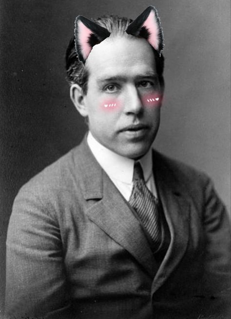 Niels Bohr, Cat Ear, Try Not To Laugh, To Laugh, Cat Ears, Me Core, Science, Apartment, Memes