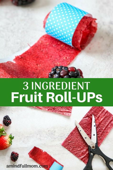 Diy Fruit Roll Ups Dehydrator, Diy Fruit Roll Ups, Healthy Fruit Roll Ups, Fruit Roll Up Recipe, Fruit Roll Ups Homemade, Homemade Fruit Roll Ups, Fruit Appetizers Easy, Homemade Fruit Leather, Dehydrating Food