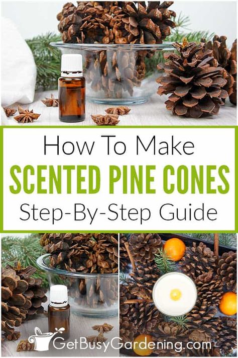 Make your own scented pine cones at home with this easy project that anyone can do. In this tutorial, I share all of the steps, materials, and equipment you’ll need. Use these DIY scented pine cones for your holiday display, or to create Christmas tree ornaments, wreaths, and more! Try my aroma combo of cinnamon, clove, and orange, or customize with your favorites, like peppermint, fir, balsam, or cedarwood. These homemade scented pine cones are frugal and quick to make with this how-to guide. Cinnamon Pine Cones Diy, Scented Pinecones Diy How To Make, Cinnamon Pine Cones How To Make, Diy Christmas Ornaments With Pinecones, How To Scent Pinecones, How To Make Cinnamon Scented Pinecones, How To Display Pine Cones, Scented Pine Cones Diy, Pine Cone Garland Diy How To Make