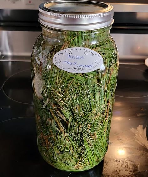 Mason Jar Recipe, Pine Sol, Pine Boughs, Natural Cleaning Solutions, Crafting Recipes, Natural Air Freshener, Cleaning Items, Homemade Cleaning Products, Natural Cleaning