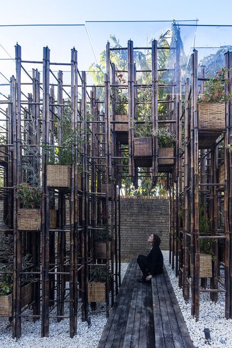 Green Ladder / Vo Trong Nghia Architects Vo Trong Nghia, Arch Inspiration, Bamboo Ladders, Richard Rogers, Growing Grass, Bamboo Structure, Bamboo Architecture, Organic Structure, Water House