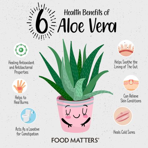 Aloe vera is a popular home remedy for sunburn, but it also has many other health benefits such as healing cold sores and wounds, treating constipation and irritable bowel syndrome, and relieving skin conditions. Aloe Vera Health Benefits, Home Remedies For Sunburn, Aloe Vera For Sunburn, Aloe Vera Uses, Benefits Of Aloe Vera, Sunburn Remedies, Aloe Vera Benefits, Aloe Gel, Aloe Vera Plant