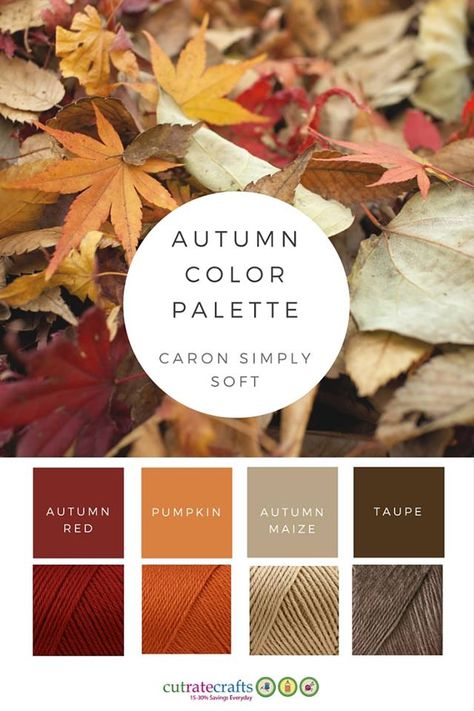 Fall Yarn Color Combinations, Autumn Yarn Colors, Autumn Pallete Colors, Fall Yarn Color Palette, Afghan Color Combinations, Muted Fall Color Palette, Soft Autumn Red, What Colors Go With Red, Autumn Color Combinations