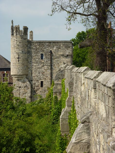 York City Walls England, Perspective Reference, York Uk, York England, York Minster, Travel Uk, Safe Travels, Yorkshire Dales, Yorkshire England